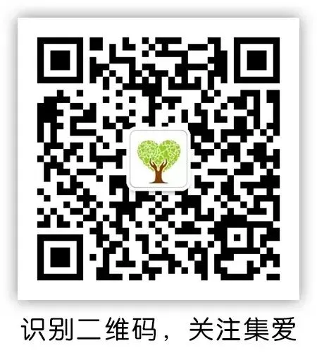 小学生篮球训练计划方案表_1